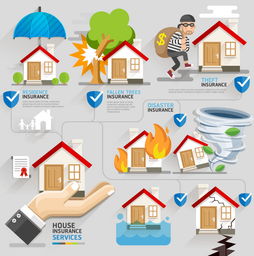房屋保險信息圖 全面解讀與實用模板下載