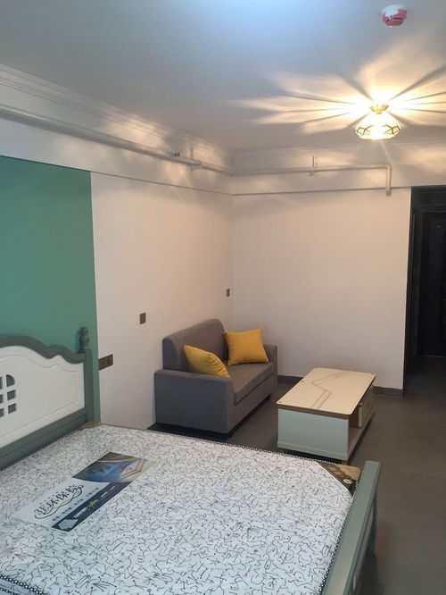 河西南湖路隧道口公寓出租信息與物業管理服務介紹